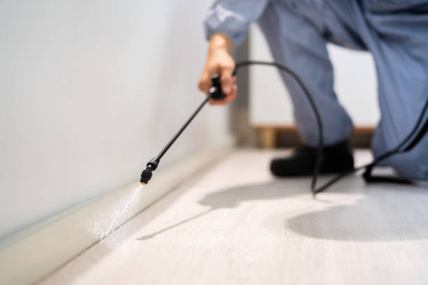 Bed Bug Pre-Treatment Preparation Assessment in Naco
