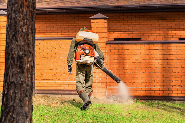Bed Bug Clearance Verification and Documentation in Naco